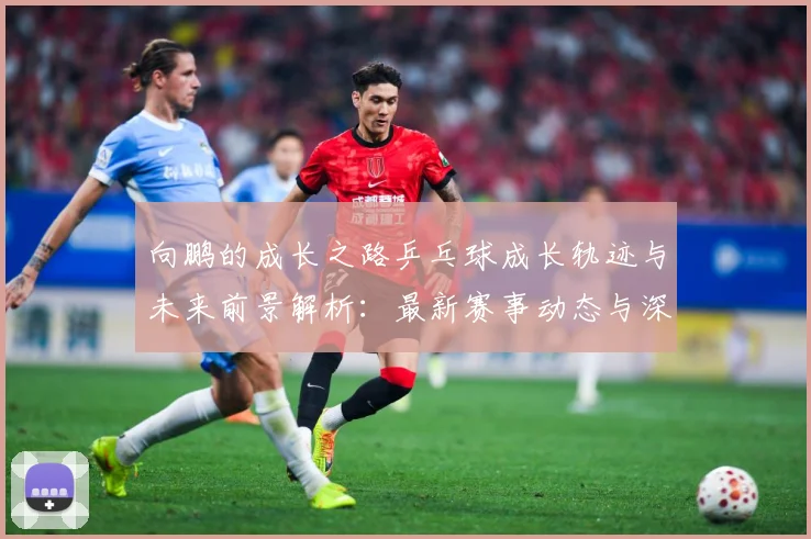 向鹏的成长之路乒乓球成长轨迹与未来前景解析：最新赛事动态与深度分析