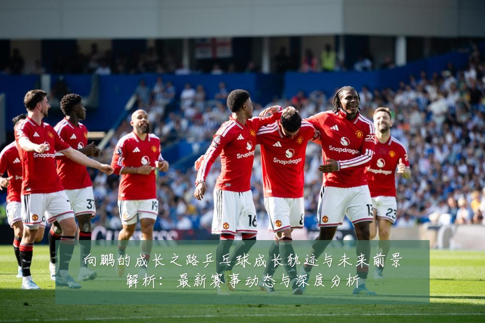 向鹏的成长之路乒乓球成长轨迹与未来前景解析:最新赛事动态与深度分析